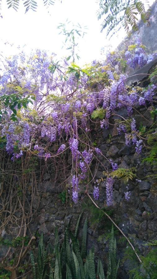 Quinta Das Glicinias Ponta Delgada 외부 사진