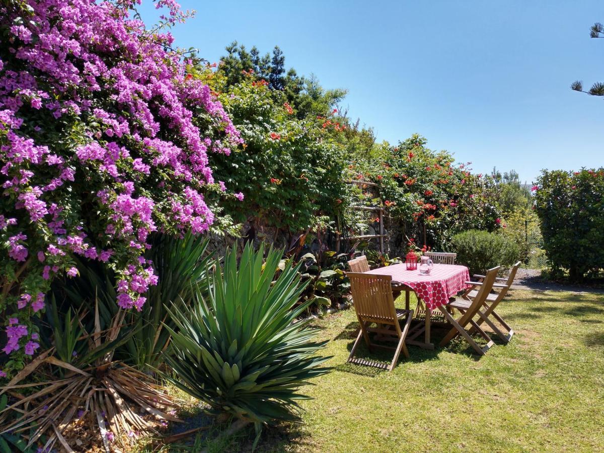 Quinta Das Glicinias Ponta Delgada 외부 사진